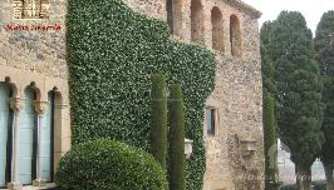 Detalle de los muros con la yedra recortada y fachadas de piedras del castillo con parte del jardín a la vista 