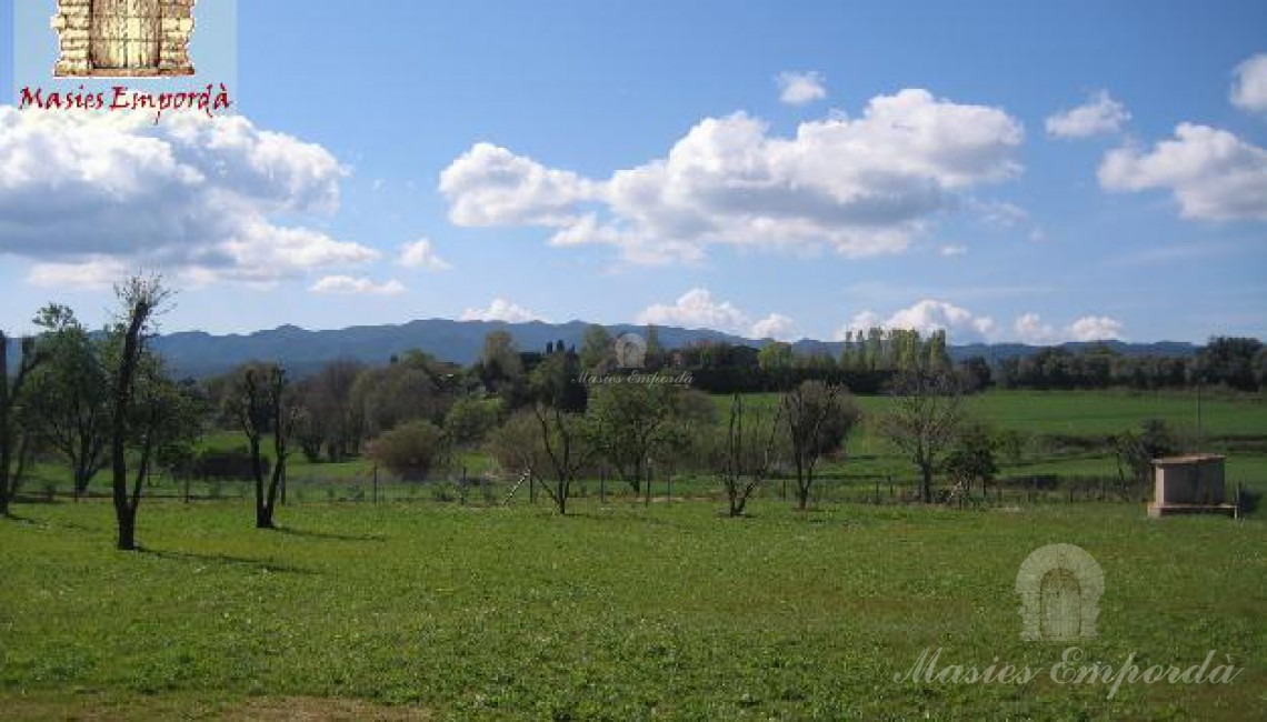 Vista de la parcela de la propiedad con el césped verde como una alfombra que contrasta con el azul del cielo y las nubes blancas que lo salpican