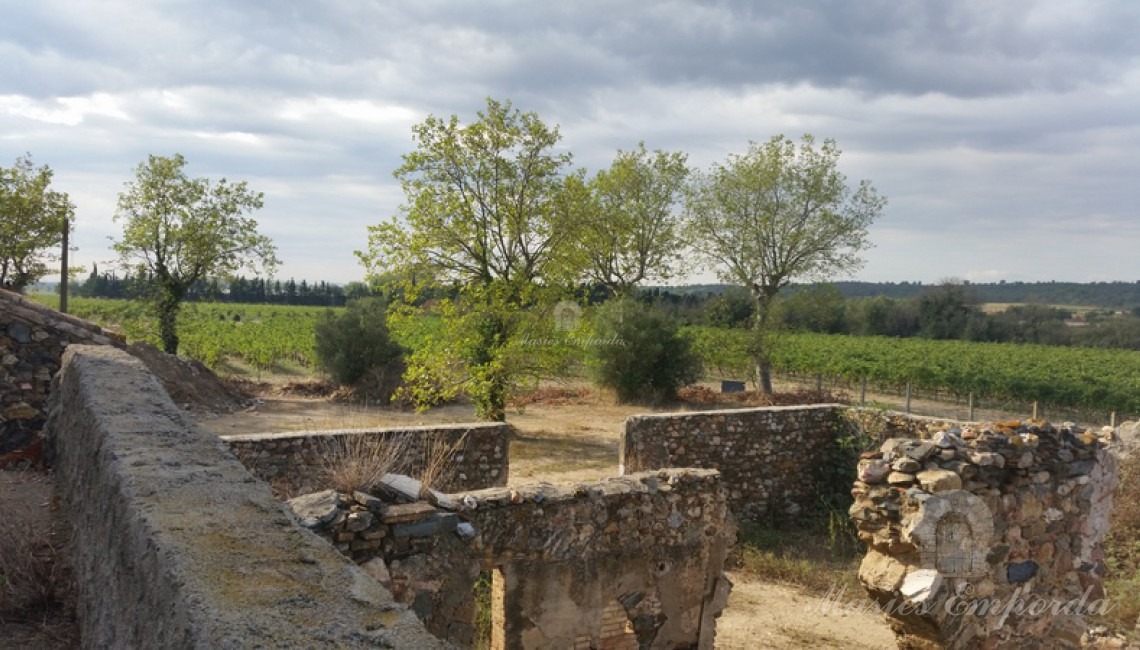 Vista de la terraza de la segunda planta