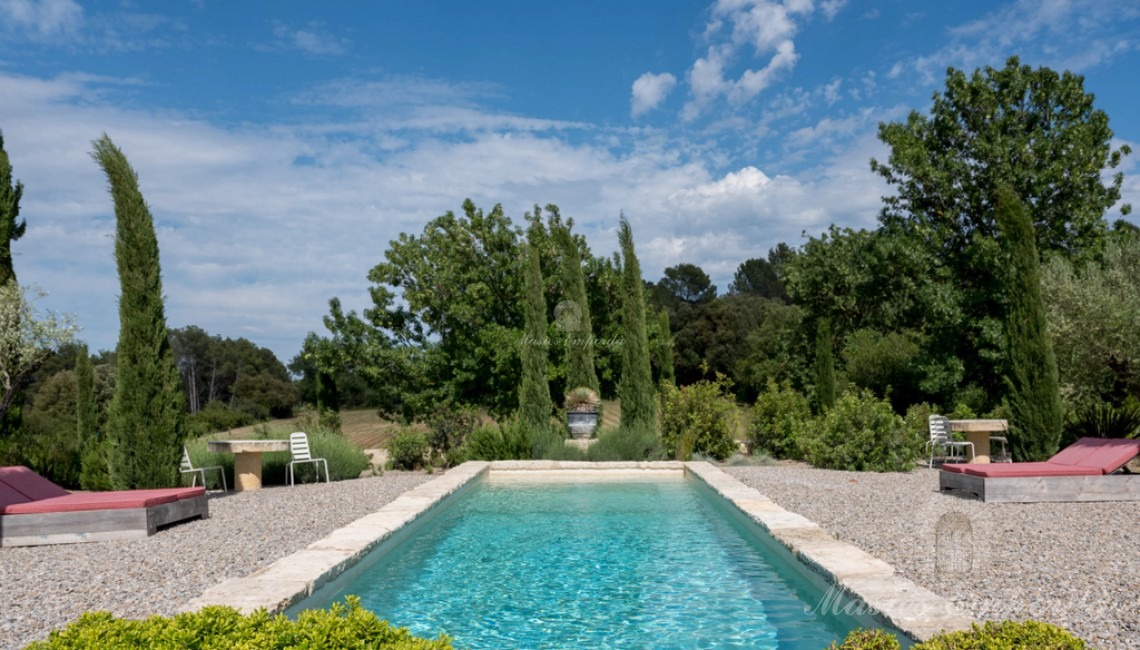 Vistes de la piscina i el jardí