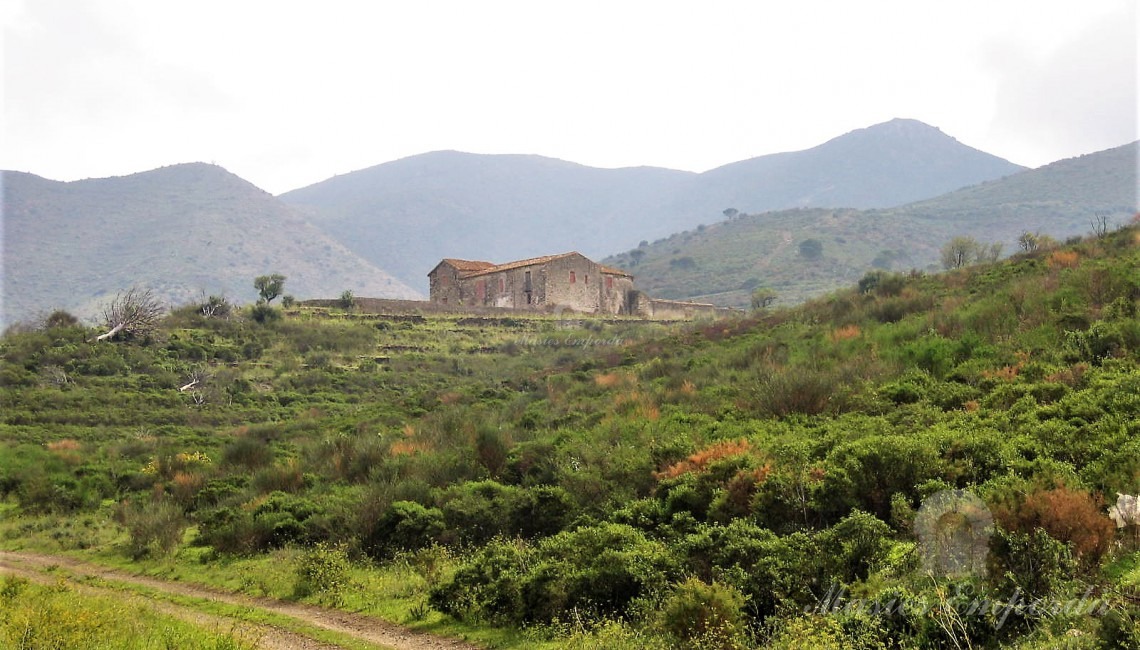 Vista desde el camino de acceso de la masía al fondo de la imagen 