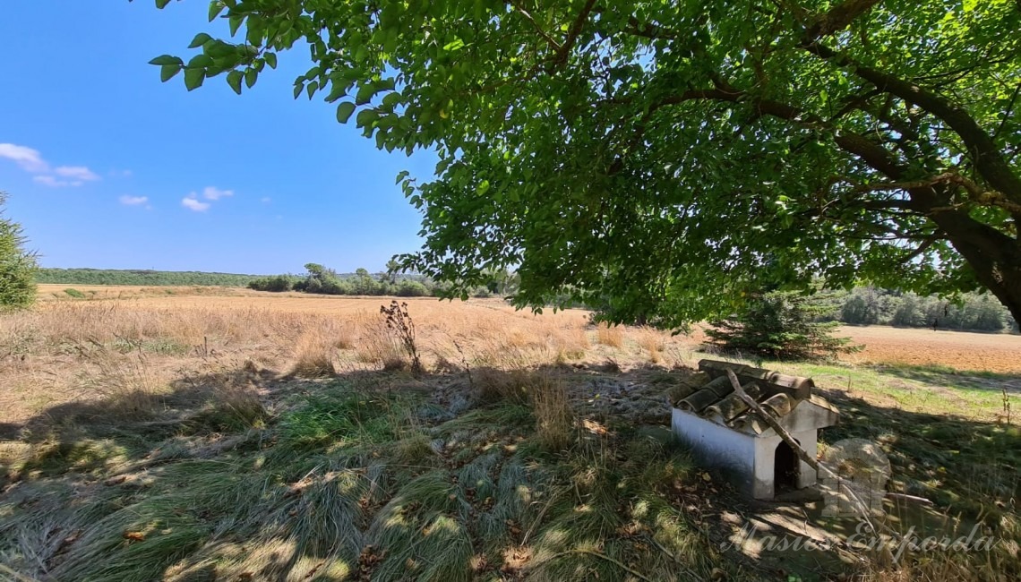 Vistas de los campos de la propiedad