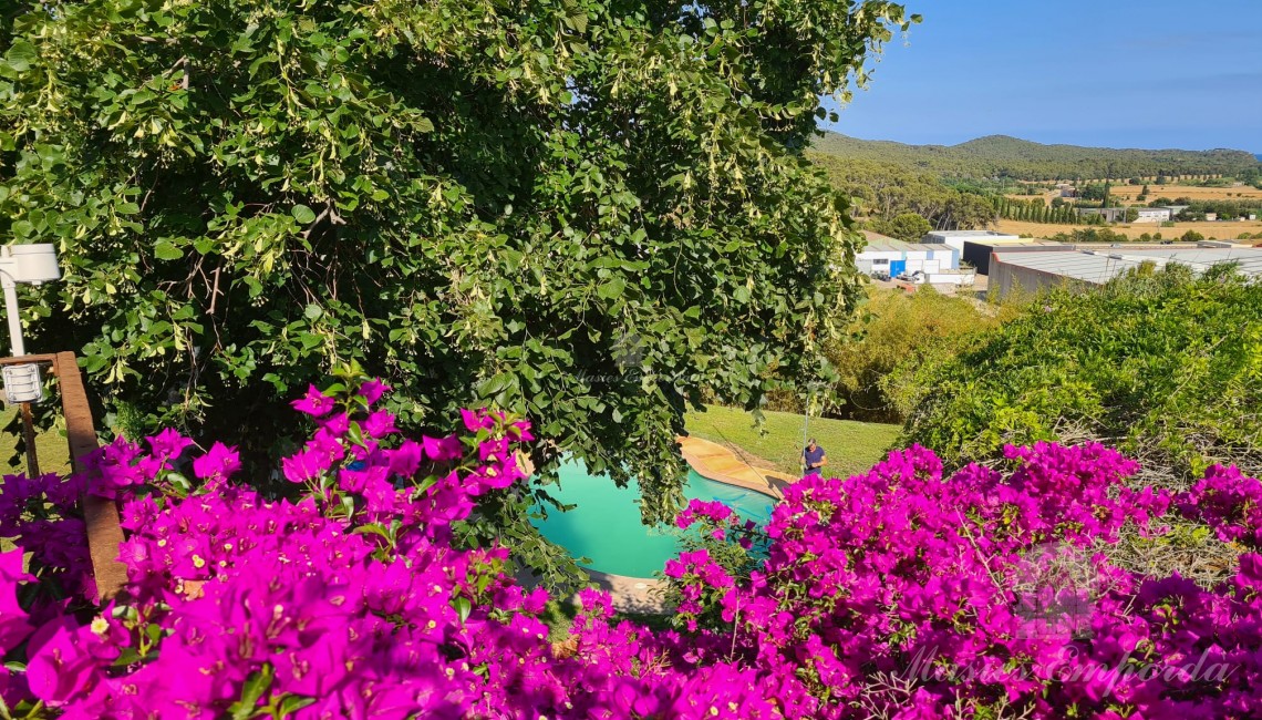 Vista de la piscina y el jardín desde la terraza 