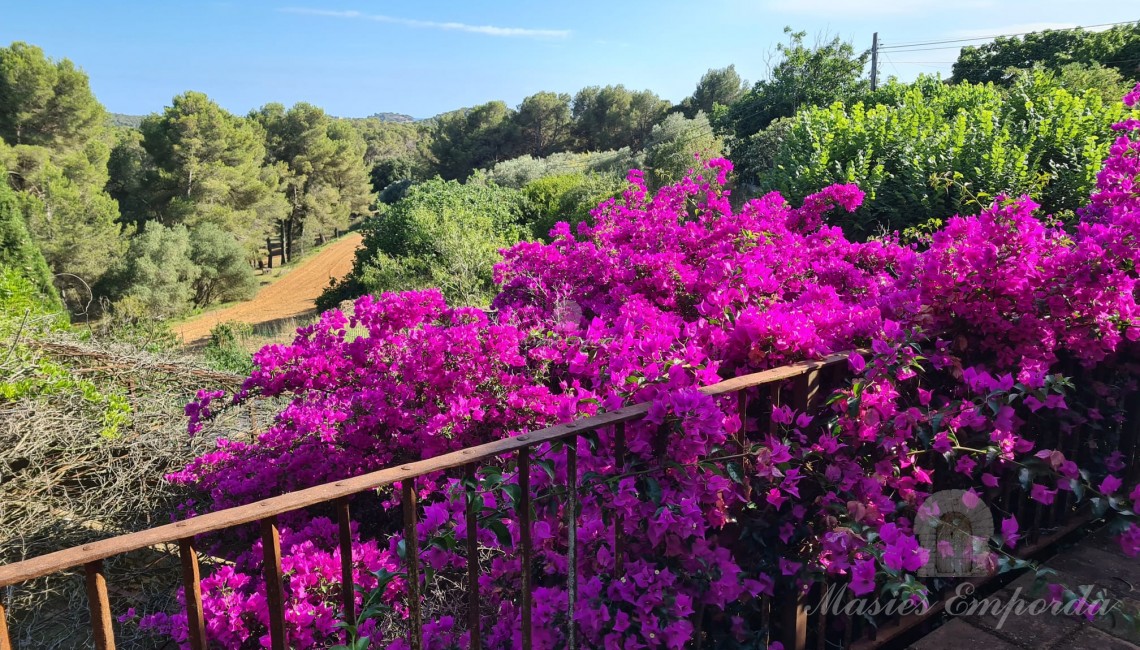 Vista des de la terrassa