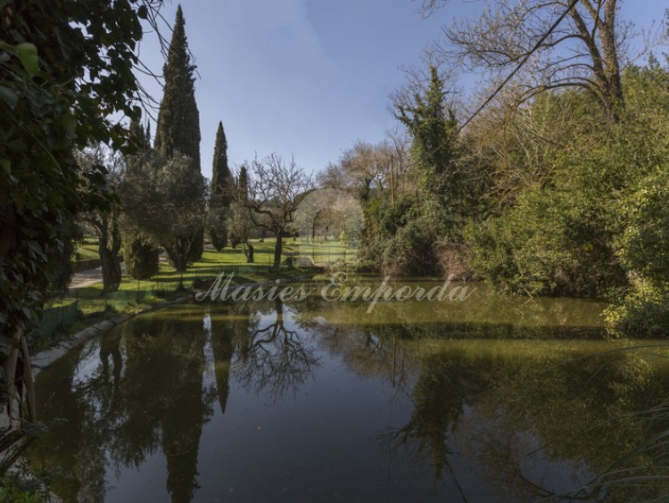 Alberca de la propiedad junto al jardín 