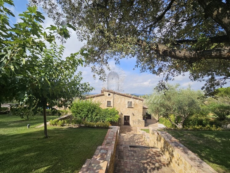 Pasaje de acceso a la piscina 