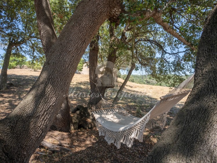 Vistes de la masia Vistes del bosc pròxim a la masia