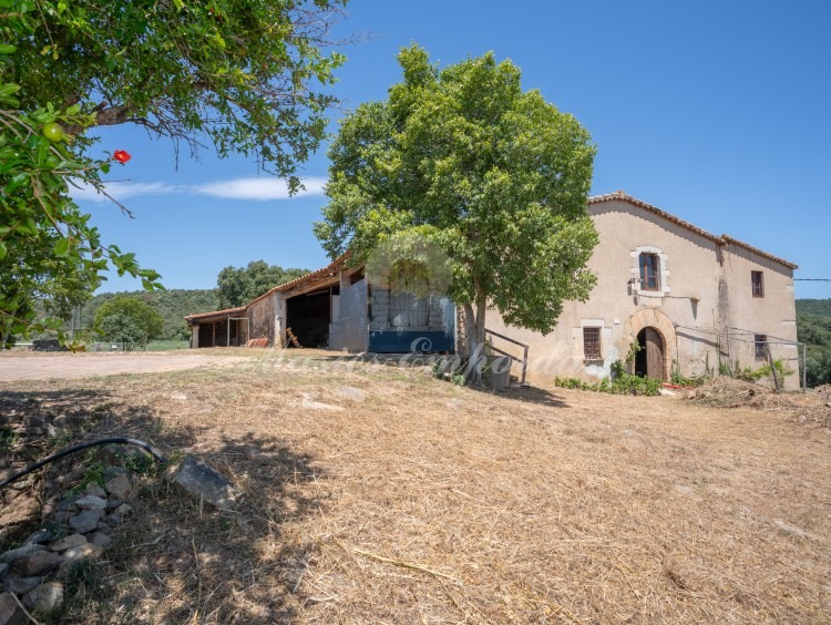 Vistes de la masia