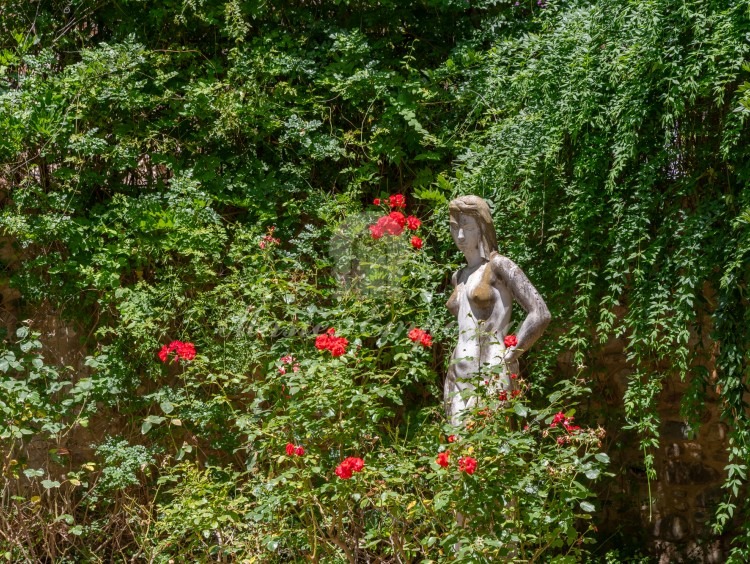 Detalles de jardín 